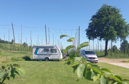 Ferienhof Metzler - Foto 12