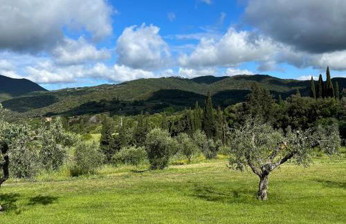 Agriturismo il Ghiaccio - Foto 12