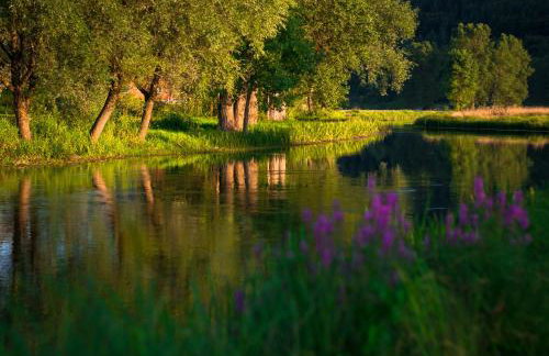 Guest House ANA - Photo 21