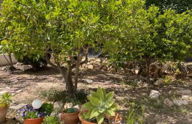 Villa Baladrar - Foto 29