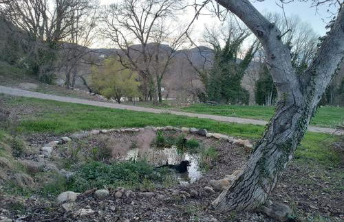 Casas Natura Suites - Finca Rural - Foto 51