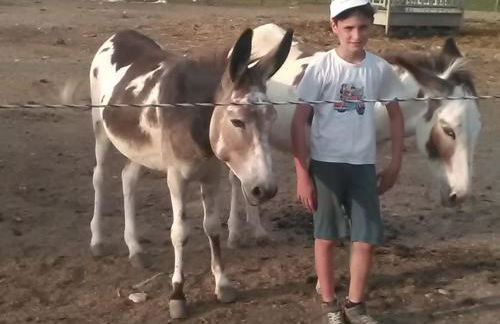 All'Antica Ruggine - Photo 8