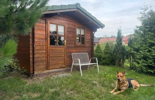 Bärenheim - Foto 12