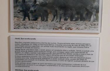 Casas da Serra - Soeima Housing - Foto 22