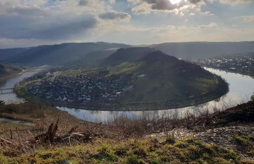 Gästehaus Steuer - Foto 22
