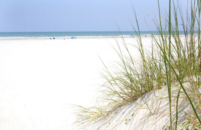 Venice Harbor 606 - Foto 26