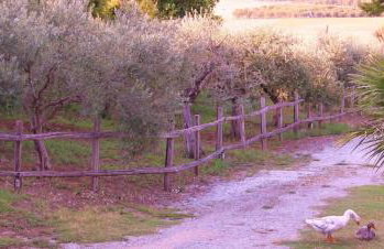 Villa Hacienda private pool with jacuzzi and sauna - Foto 36