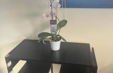 Chez Annick, studio proche tram, Groupama Stadium, LDLC Arena - Foto 14