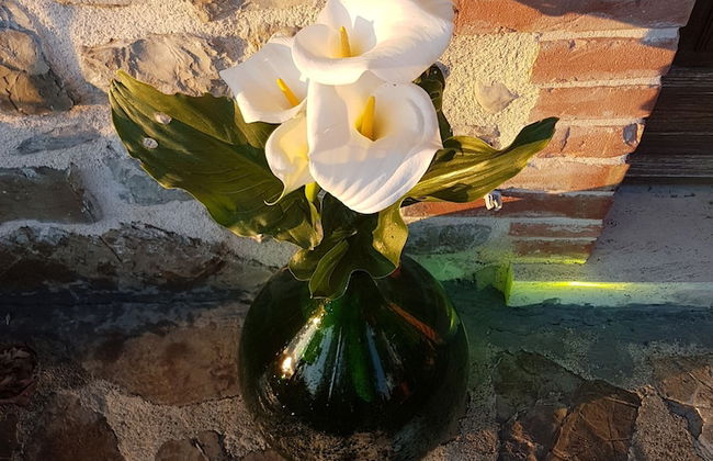 Agriturismo La Marianella - Foto 67