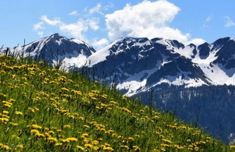 Ca' del Pettirosso - Foto 27