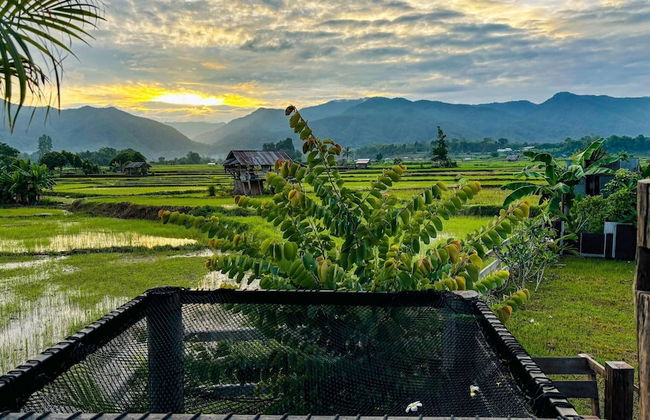 Deetorjai FarmStay Nan - Photo 44