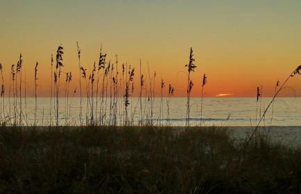 Sunset Chateau 506 - Premier - Foto 27