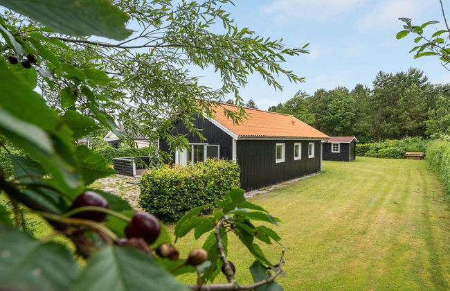 "Zaara" - 450m to the fjord - Foto 3