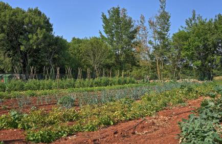 Beautiful Villa Elena with pool in Kanfanar - Foto 23