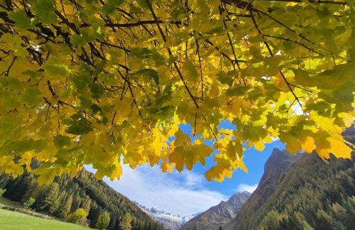 Seeberhof - Urlaub am Bauerhof - Foto 9