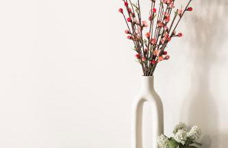 Xenia Serenity - Foto 33