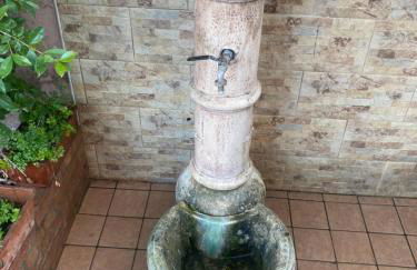 L'albero di limoni sul mare di Pizzo - Photo 43