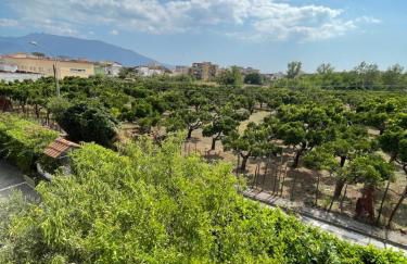 Vesuvius garden - Photo 41
