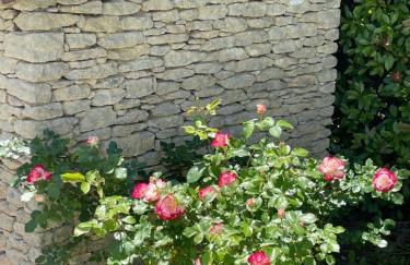 La Luberonne gordes - Photo 33