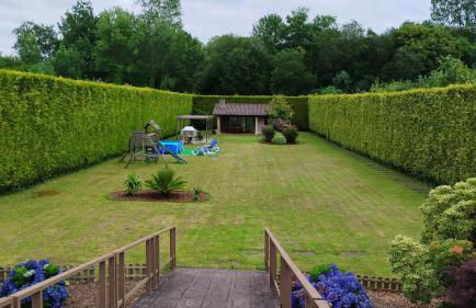 Finca O Loureiro - Foto 17