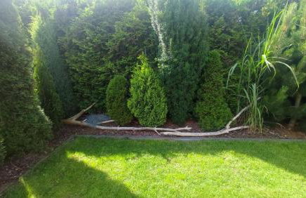 Domki Pozytywki - Foto 50