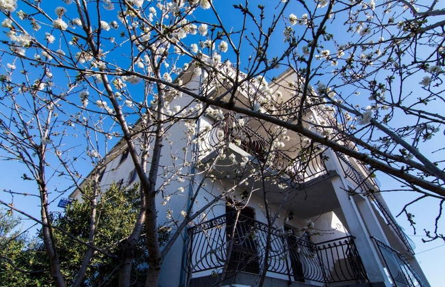 Mato - With Parking - SA1 - Foto 15