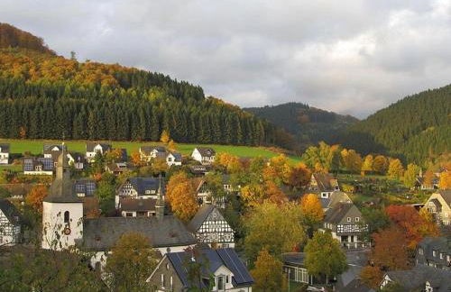 Ferienhaus in Sauerland nahe Winterberg Skifahren - Foto 28