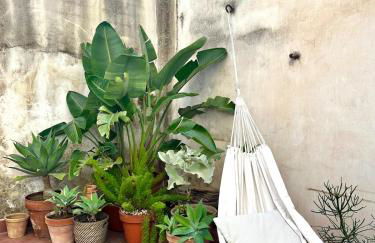 Corte dell'Agave - Foto 21