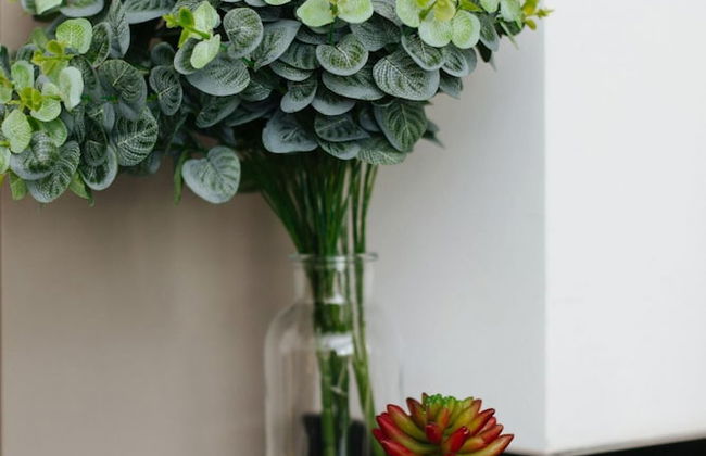 Av0111 Studio Avanhandava - Foto 21