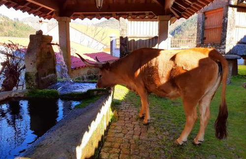 Casa da Fichua - Foto 36