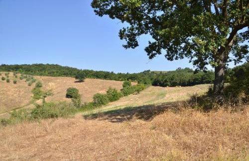 Agriturismo La Steccaia Alta - Foto 11