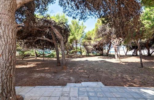 Cozy Flat and Terrace - 2 min from the beach by Sweet Home Puglia Apartments - Foto 6