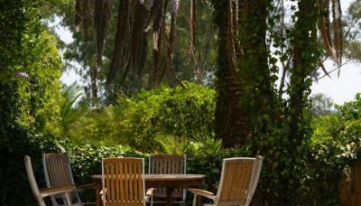 Cortijo Negretti - Foto 4, Garden, Garden view