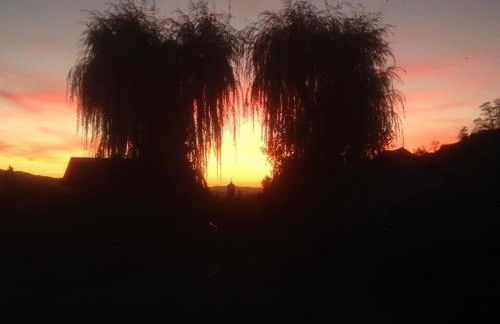 Apartment Kaminblick EuropaPark in ca 15 min erreichbar - Foto 62