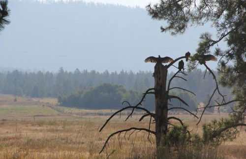 Tunk Valley Ranch House - Foto 23