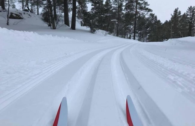 Ski Lodge & Apartments Gautefall - Foto 70