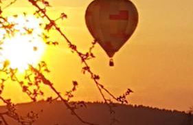 Zettis Ferienhäusle - Foto 28