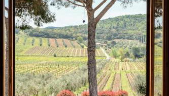 Agriturismo biologico Bulichella - Foto 5, Garden