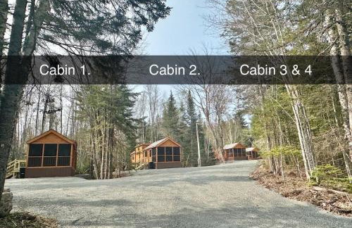 Cozy Coastal Cabin 2 - Foto 20