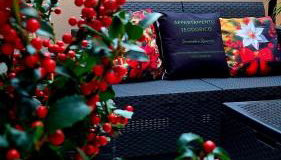 Appartamento Teodorico Ravenna - Foto 4, Garden