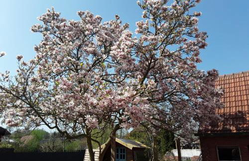 Ferienwohnung Ostfriesland - Foto 2