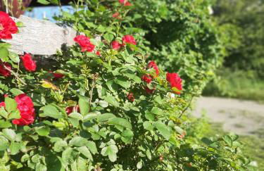 Fewo an der Teufelskanzel - Foto 4