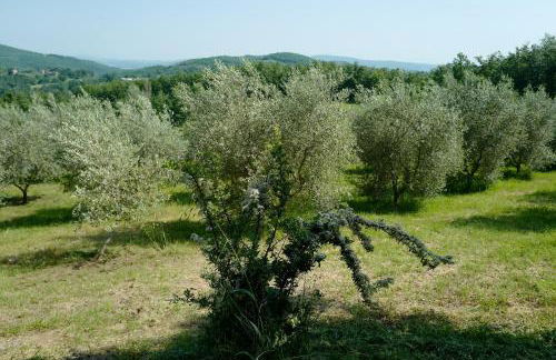 Villa di Piera - Foto 75