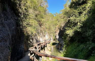 Olivae apartamento - Foto 11