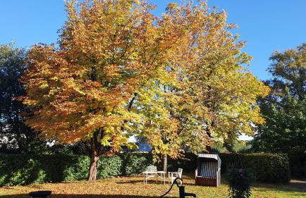 Ferienwohnung mit Tiny House - Foto 22