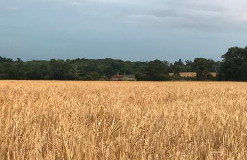 Thonock lane lodge - Foto 21