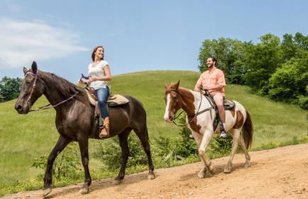 MooseBehaving - Two Bedroom Cabin - Foto 14