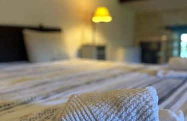 BERGERIE rénovée avec piscine chauffée et terrain clôturé - Foto 51