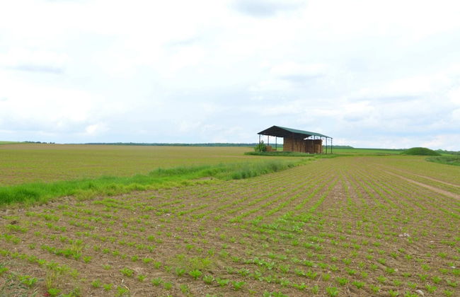 Elegant Estate Stay, Maredsous - Foto 36