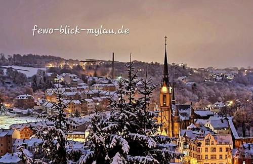 Ferienwohnung "Blick Mylau" - Nähe Freizeitpark Plohn & weltgrößter Ziegelsteinbrücke - Foto 29